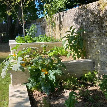 Pierres Et Jardins Senlis (Oise)